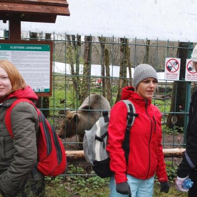 2010 Roheliste Rattaretk Kuidas Elad Vooremaa 76 20170321 1838782469