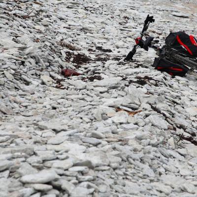 2011 Roheliste Rattaretk Kuidas Elad Saaremaa 101 20170321 1557202992