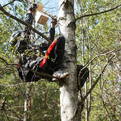 2011 Roheliste Rattaretk Kuidas Elad Saaremaa 106 20170321 1795747360