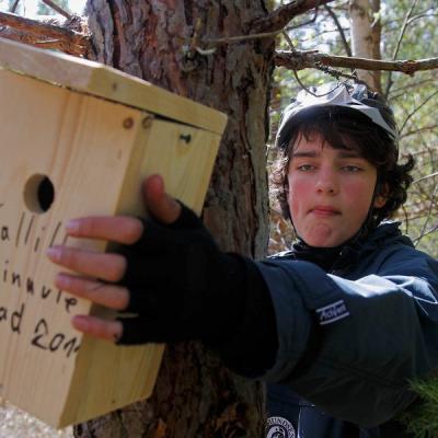 2011 Roheliste Rattaretk Kuidas Elad Saaremaa 110 20170321 1882004926