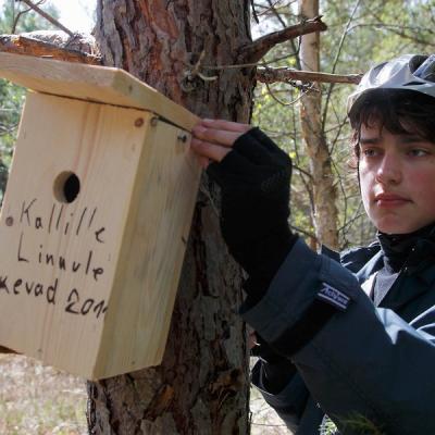 2011 Roheliste Rattaretk Kuidas Elad Saaremaa 112 20170321 1230361736