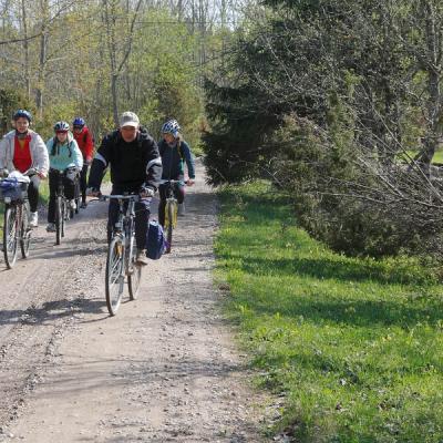 2011 Roheliste Rattaretk Kuidas Elad Saaremaa 123 20170321 2066759684