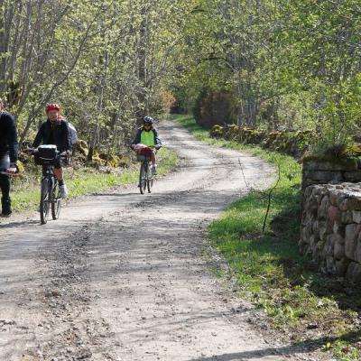 2011 Roheliste Rattaretk Kuidas Elad Saaremaa 126 20170321 1913469199