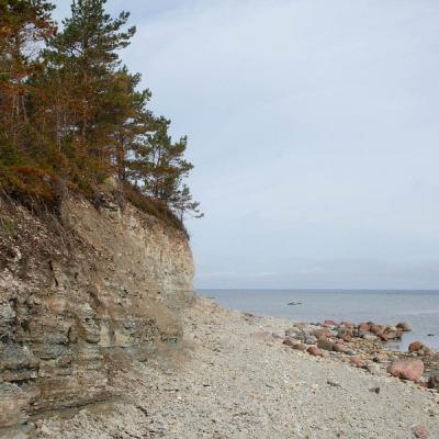 2011 Roheliste Rattaretk Kuidas Elad Saaremaa 152 20170321 1142038320