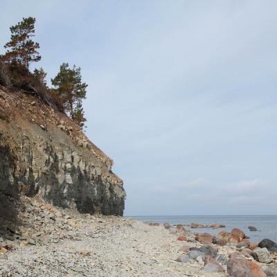 2011 Roheliste Rattaretk Kuidas Elad Saaremaa 153 20170321 1986356102