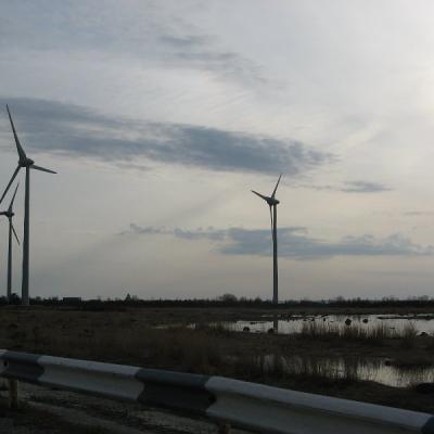 2011 Roheliste Rattaretk Kuidas Elad Saaremaa 242 20170321 1984669814