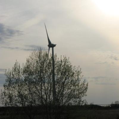 2011 Roheliste Rattaretk Kuidas Elad Saaremaa 243 20170321 1096778850