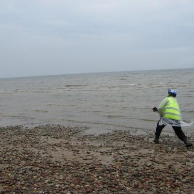 2011 Roheliste Rattaretk Kuidas Elad Saaremaa 255 20170321 1433330205