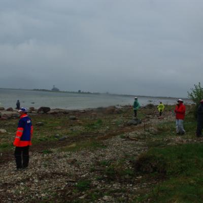 2011 Roheliste Rattaretk Kuidas Elad Saaremaa 298 20170321 1058814902