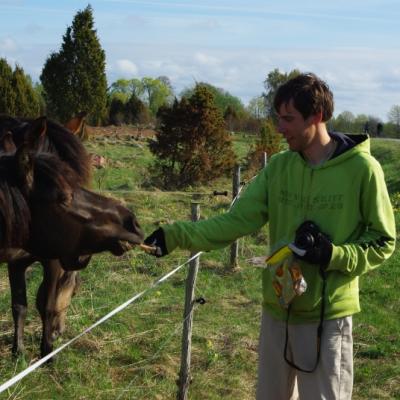 2011 Roheliste Rattaretk Kuidas Elad Saaremaa 327 20170321 1625770763