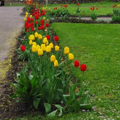 2011 Roheliste Rattaretk Kuidas Elad Saaremaa 371 20170321 1073634282