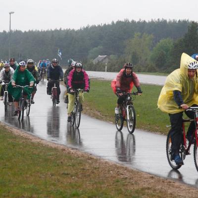 2011 Roheliste Rattaretk Kuidas Elad Saaremaa 49 20170321 1013215878