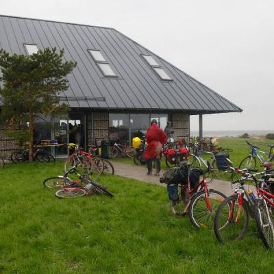 2011 Roheliste Rattaretk Kuidas Elad Saaremaa 69 20170321 1685448545