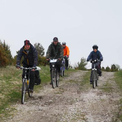 2011 Roheliste Rattaretk Kuidas Elad Saaremaa 80 20170321 1184255277