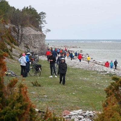 2011 Roheliste Rattaretk Kuidas Elad Saaremaa 83 20170321 1964346766