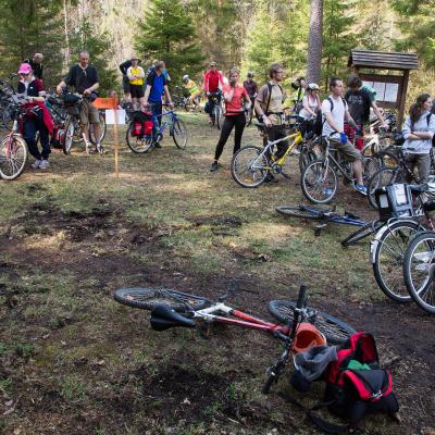 2013 Roheliste Rattaretk Kuidas Elad Pandivere 20170322 1238161098