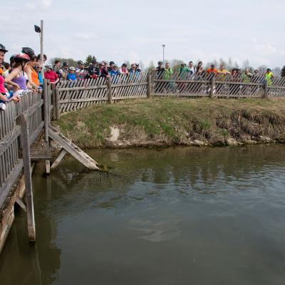 2013 Roheliste Rattaretk Kuidas Elad Pandivere 20170322 1516475100