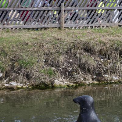 2013 Roheliste Rattaretk Kuidas Elad Pandivere 20170322 1600637906