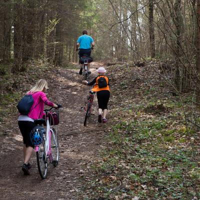 2013 Roheliste Rattaretk Kuidas Elad Pandivere 20170322 1749499335