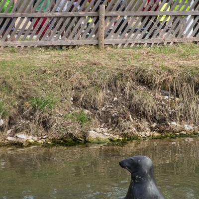 2013 Roheliste Rattaretk Kuidas Elad Pandivere 20170322 1965949423