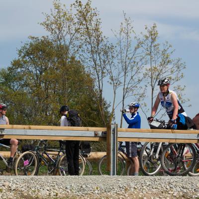 2014 Roheliste Rattaretk Kuidas Elad Maerjamaa 20170322 1045913975