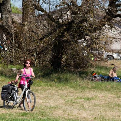 2014 Roheliste Rattaretk Kuidas Elad Maerjamaa 20170322 1089693183