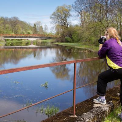 2014 Roheliste Rattaretk Kuidas Elad Maerjamaa 20170322 1092838828