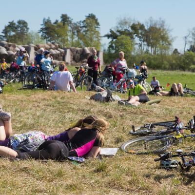 2014 Roheliste Rattaretk Kuidas Elad Maerjamaa 20170322 1116945975