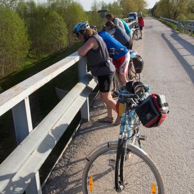 2014 Roheliste Rattaretk Kuidas Elad Maerjamaa 20170322 1121054956