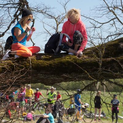 2014 Roheliste Rattaretk Kuidas Elad Maerjamaa 20170322 1171173681