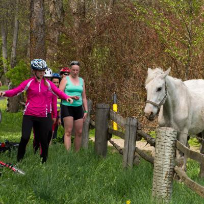 2014 Roheliste Rattaretk Kuidas Elad Maerjamaa 20170322 1224879384