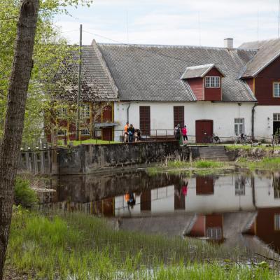 2014 Roheliste Rattaretk Kuidas Elad Maerjamaa 20170322 1279625578