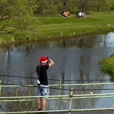 2014 Roheliste Rattaretk Kuidas Elad Maerjamaa 20170322 1291856630