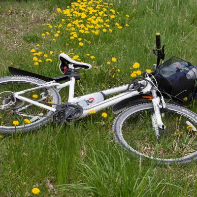 2014 Roheliste Rattaretk Kuidas Elad Maerjamaa 20170322 1350024950