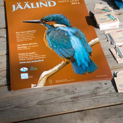 2014 Roheliste Rattaretk Kuidas Elad Maerjamaa 20170322 1380972362