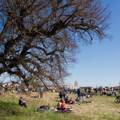 2014 Roheliste Rattaretk Kuidas Elad Maerjamaa 20170322 1399741112