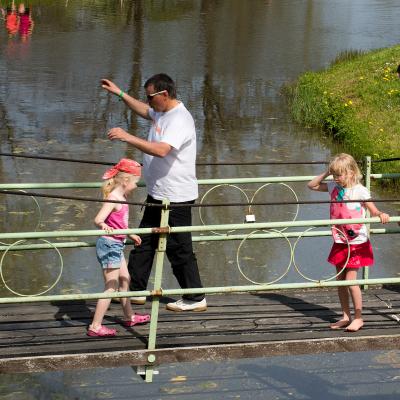 2014 Roheliste Rattaretk Kuidas Elad Maerjamaa 20170322 1409061916