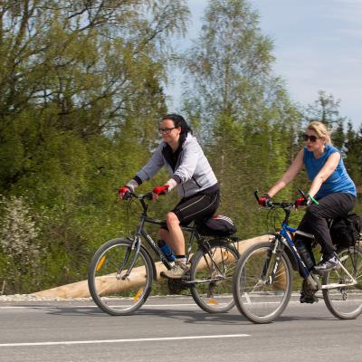 2014 Roheliste Rattaretk Kuidas Elad Maerjamaa 20170322 1426493088