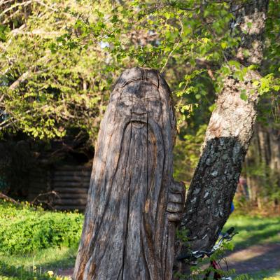 2014 Roheliste Rattaretk Kuidas Elad Maerjamaa 20170322 1428382613