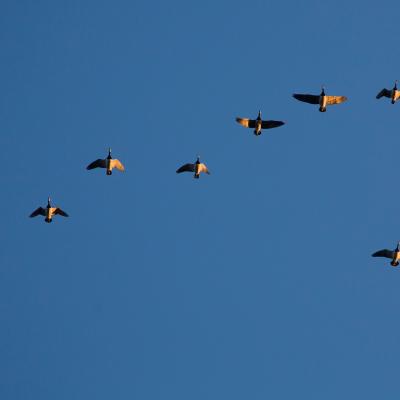 2014 Roheliste Rattaretk Kuidas Elad Maerjamaa 20170322 1466998810