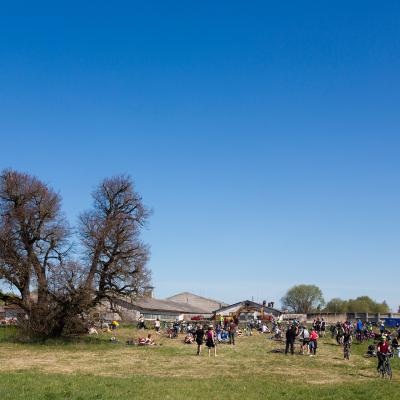 2014 Roheliste Rattaretk Kuidas Elad Maerjamaa 20170322 1488675610