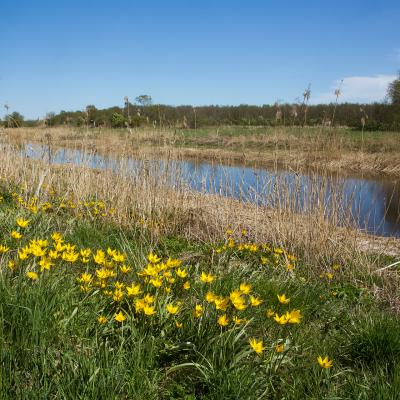 2014 Roheliste Rattaretk Kuidas Elad Maerjamaa 20170322 1510105750