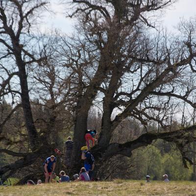 2014 Roheliste Rattaretk Kuidas Elad Maerjamaa 20170322 1673497216