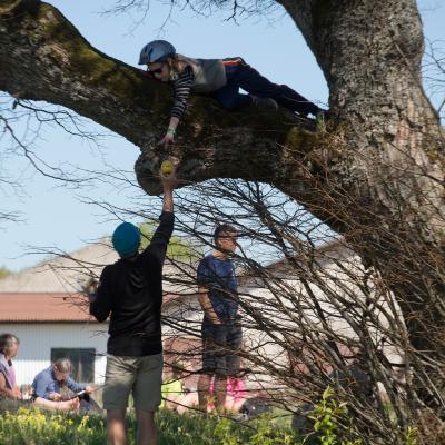 2014 Roheliste Rattaretk Kuidas Elad Maerjamaa 20170322 1693276810