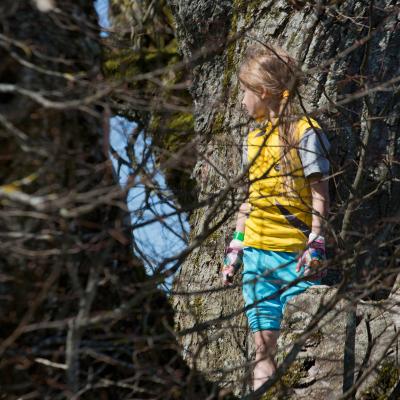 2014 Roheliste Rattaretk Kuidas Elad Maerjamaa 20170322 1695733439