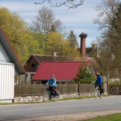 2014 Roheliste Rattaretk Kuidas Elad Maerjamaa 20170322 1712589556