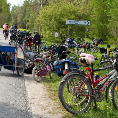 2014 Roheliste Rattaretk Kuidas Elad Maerjamaa 20170322 1734461459