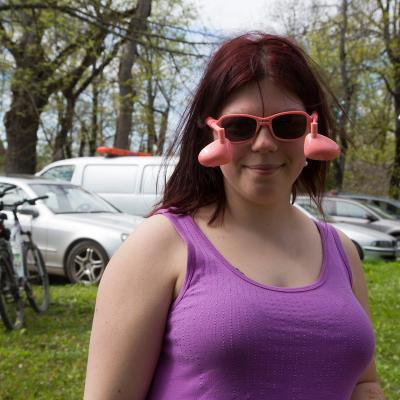 2014 Roheliste Rattaretk Kuidas Elad Maerjamaa 20170322 1760849446