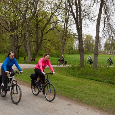 2014 Roheliste Rattaretk Kuidas Elad Maerjamaa 20170322 1803363902