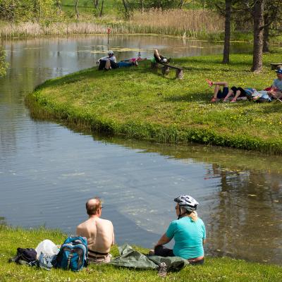 2014 Roheliste Rattaretk Kuidas Elad Maerjamaa 20170322 1820788026